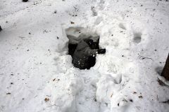 Изображение галереи 